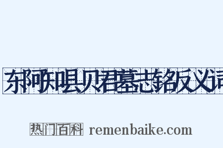 东阿知县贝君墓志铭反义词是什么意思的图片